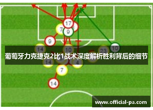 葡萄牙力克捷克2比1战术深度解析胜利背后的细节