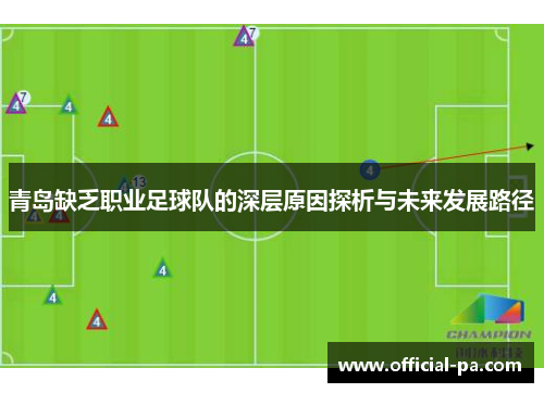 青岛缺乏职业足球队的深层原因探析与未来发展路径